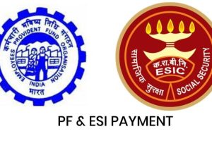 PF-ESI-Payment